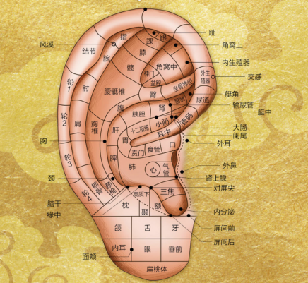 1585706907963053.png 图片4.png