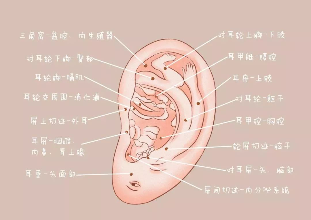 1585706867157519.png 图片3.png